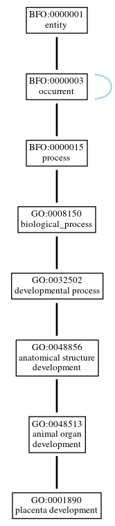 Graph of GO:0001890
