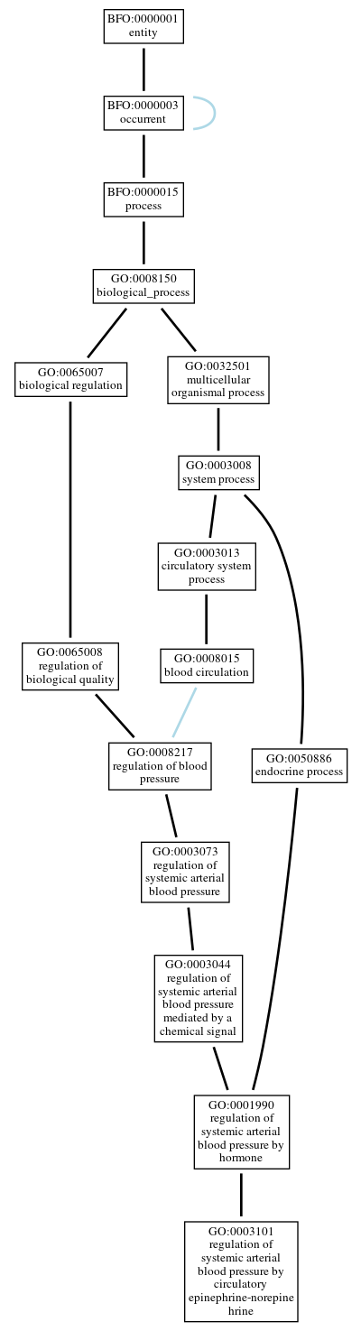 Graph of GO:0003101
