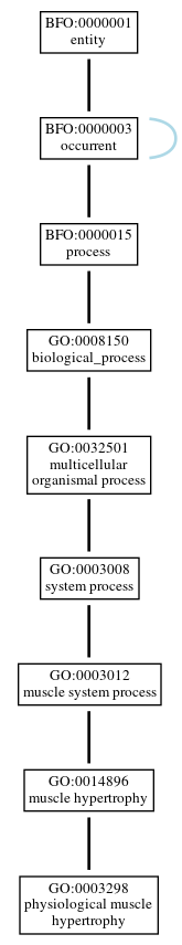 Graph of GO:0003298