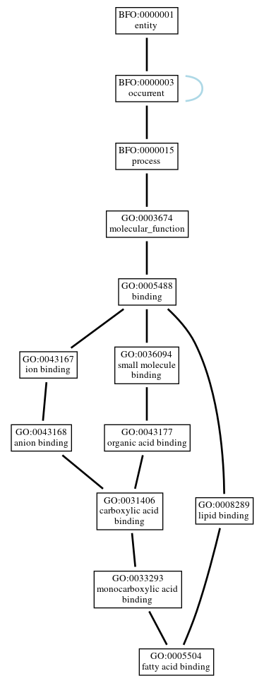 Graph of GO:0005504