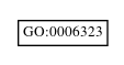 Graph of GO:0006323