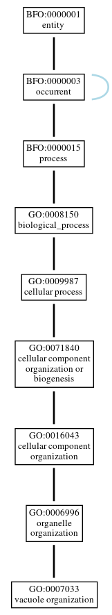 Graph of GO:0007033