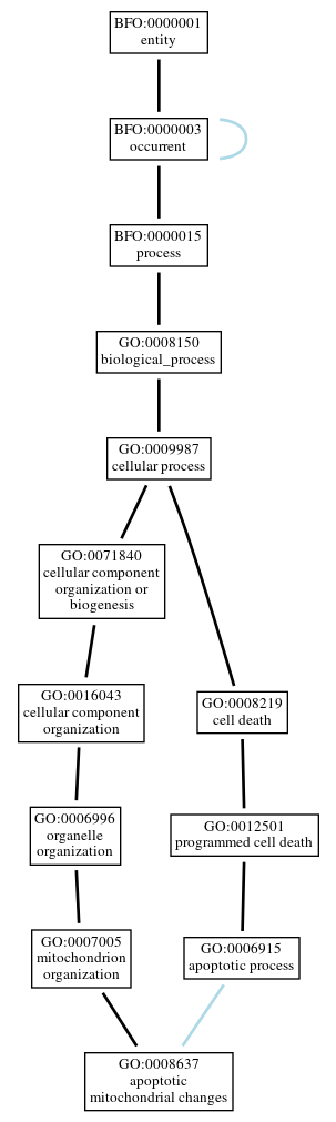 Graph of GO:0008637