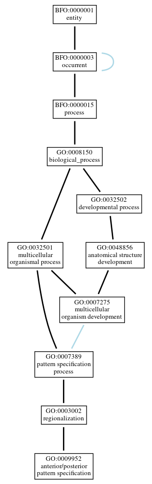 Graph of GO:0009952