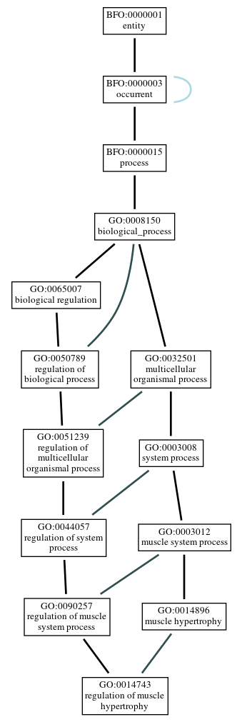 Graph of GO:0014743
