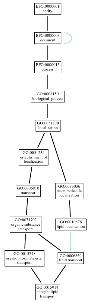 Graph of GO:0015914