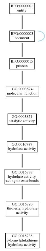 Graph of GO:0018738