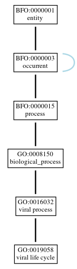 Graph of GO:0019058