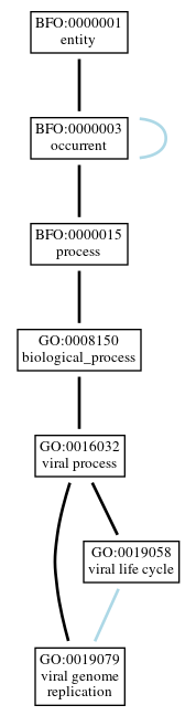 Graph of GO:0019079