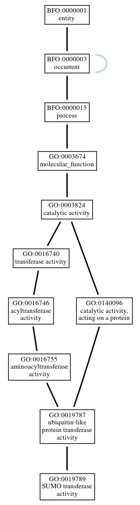 Graph of GO:0019789