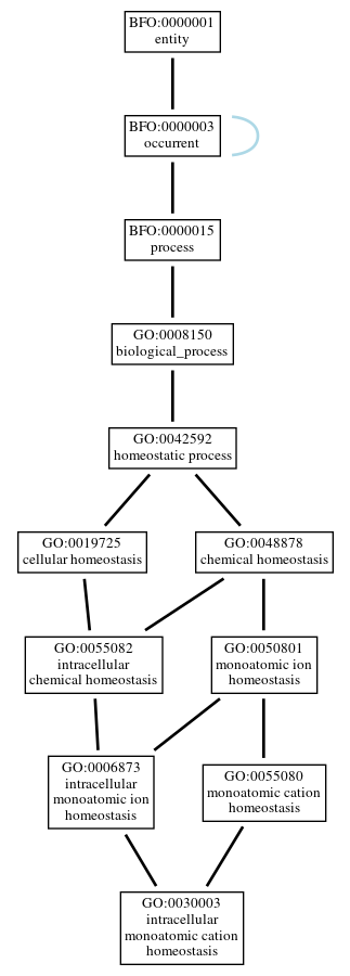 Graph of GO:0030003