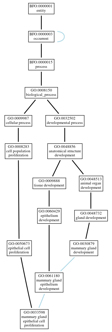 Graph of GO:0033598
