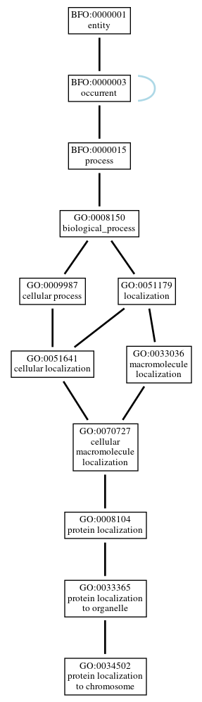 Graph of GO:0034502