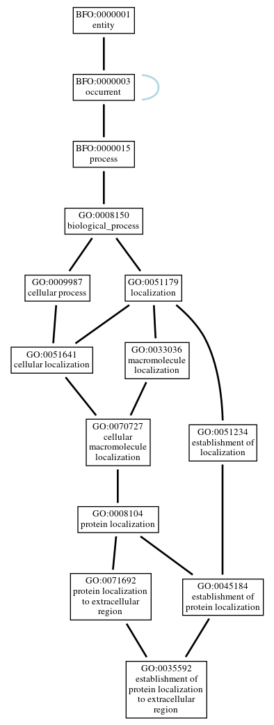 Graph of GO:0035592