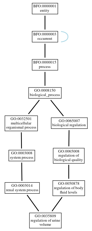Graph of GO:0035809