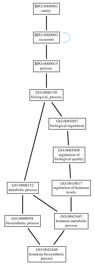 Graph of GO:0042446