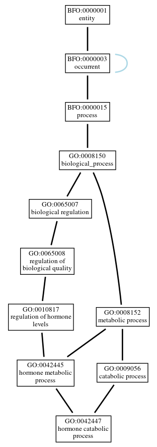 Graph of GO:0042447