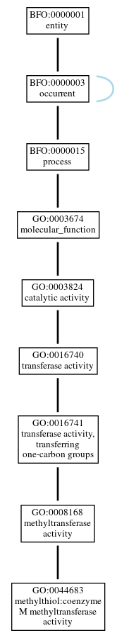 Graph of GO:0044683