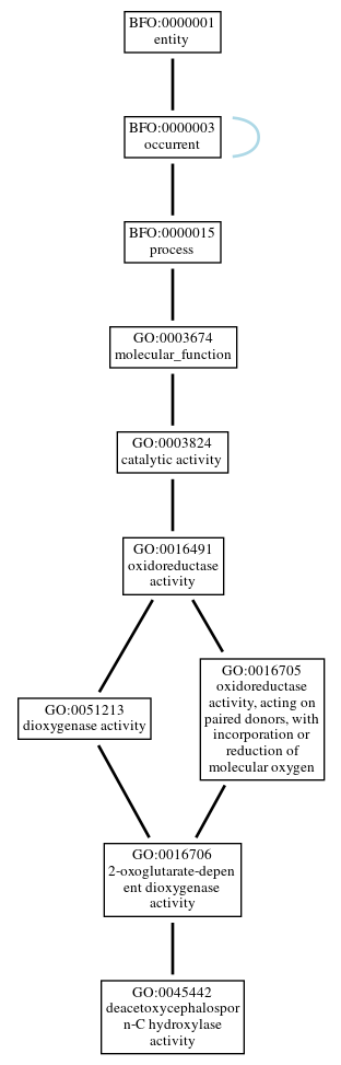 Graph of GO:0045442