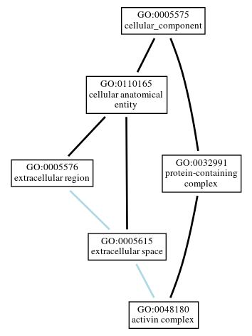 Graph of GO:0048180