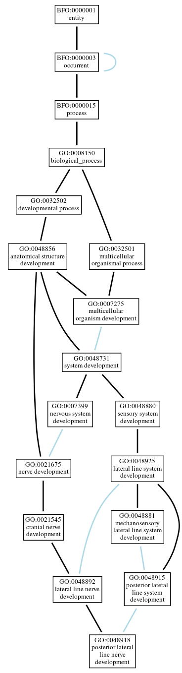 Graph of GO:0048918