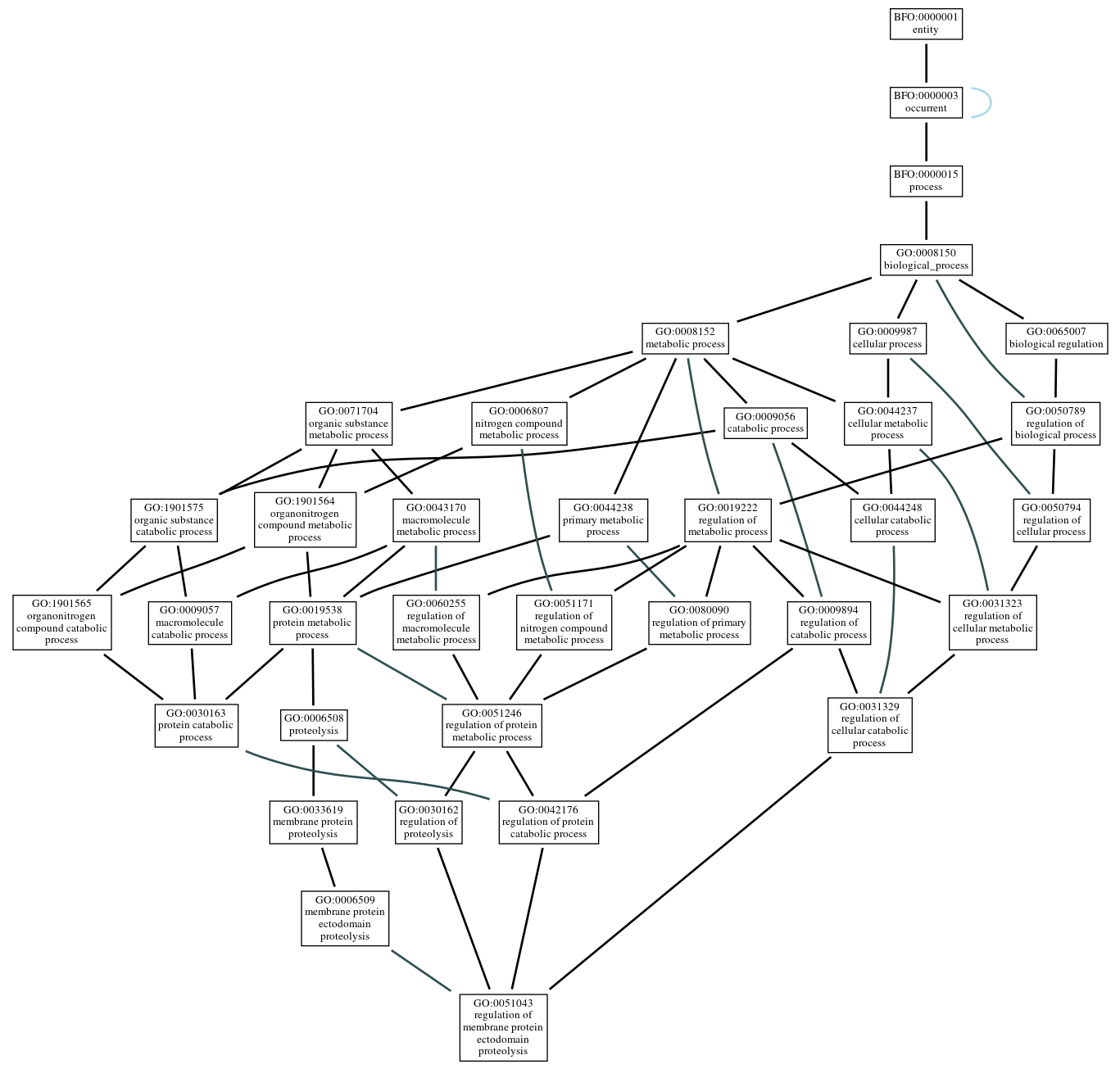 Graph of GO:0051043