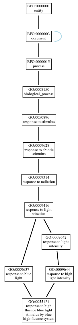 Graph of GO:0055121
