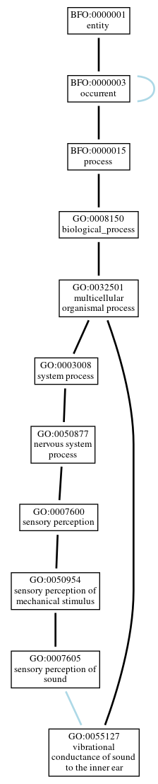 Graph of GO:0055127