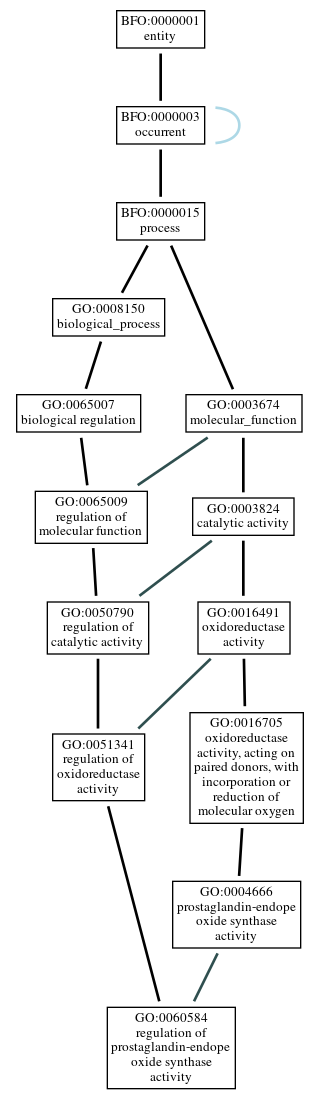 Graph of GO:0060584