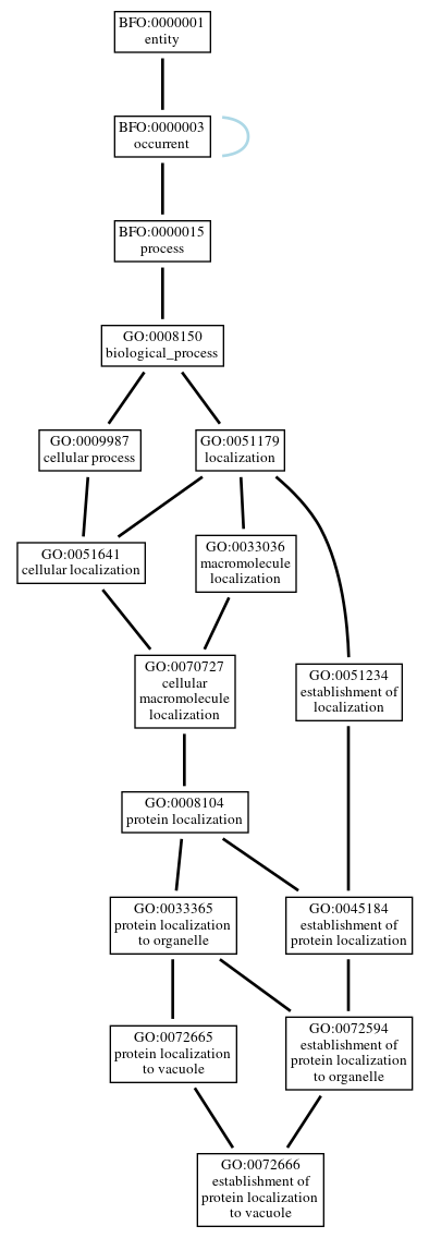 Graph of GO:0072666