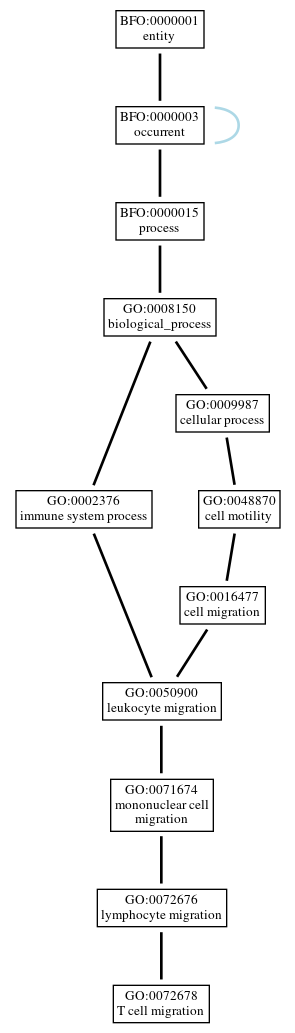 Graph of GO:0072678