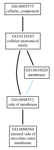 Graph of GO:0098569
