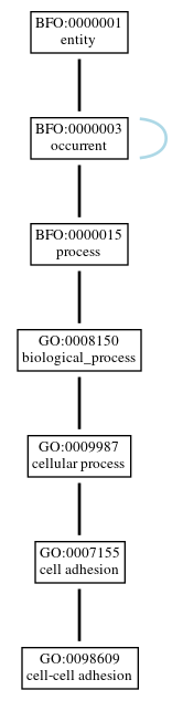 Graph of GO:0098609