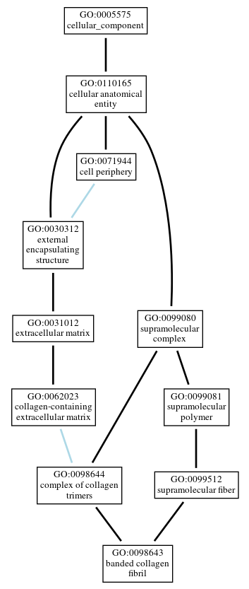 Graph of GO:0098643
