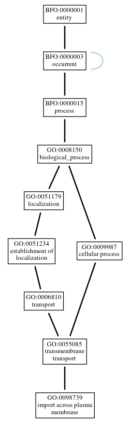 Graph of GO:0098739