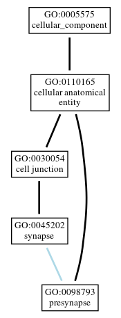 Graph of GO:0098793