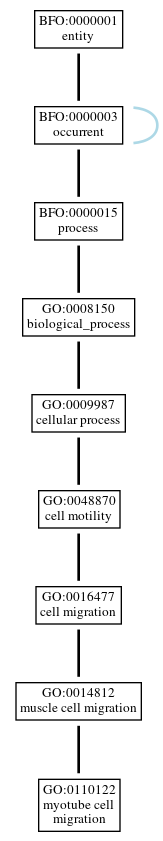 Graph of GO:0110122