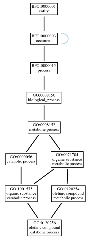 Graph of GO:0120256