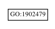 Graph of GO:1902479