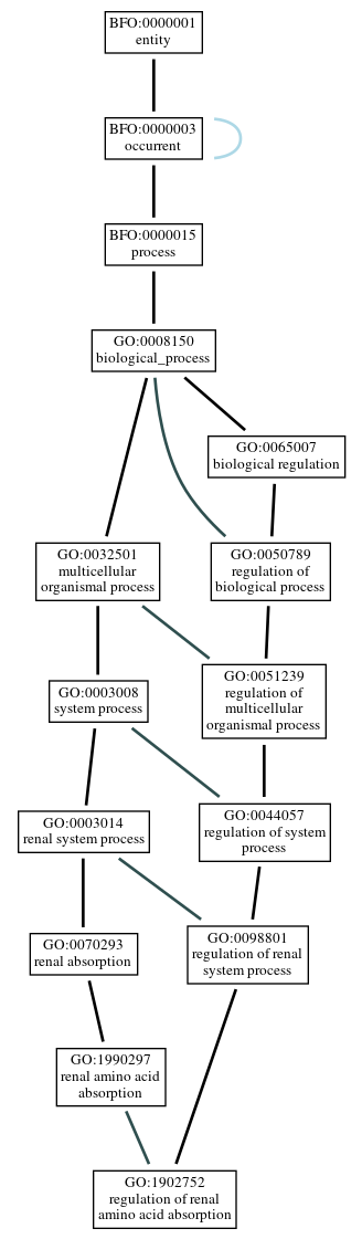 Graph of GO:1902752