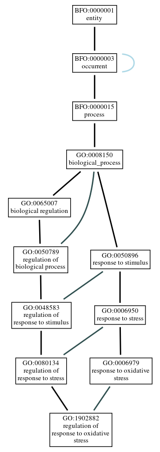 Graph of GO:1902882