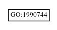 Graph of GO:1990744