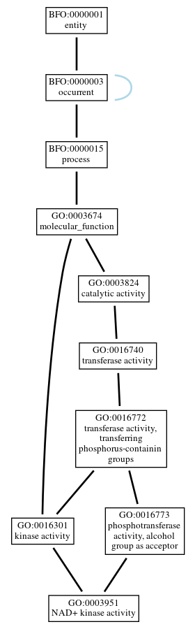 Graph of GO:0003951