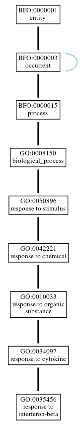 Graph of GO:0035456