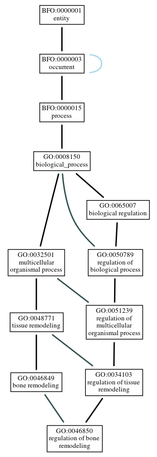 Graph of GO:0046850