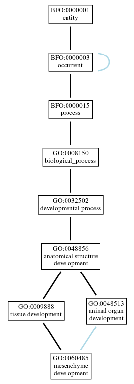 Graph of GO:0060485