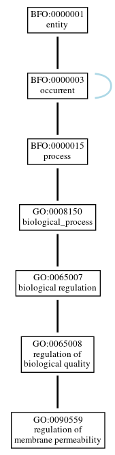 Graph of GO:0090559