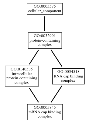Graph of GO:0005845