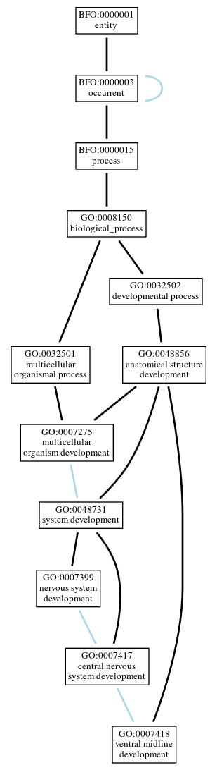 Graph of GO:0007418