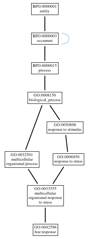 Graph of GO:0042596